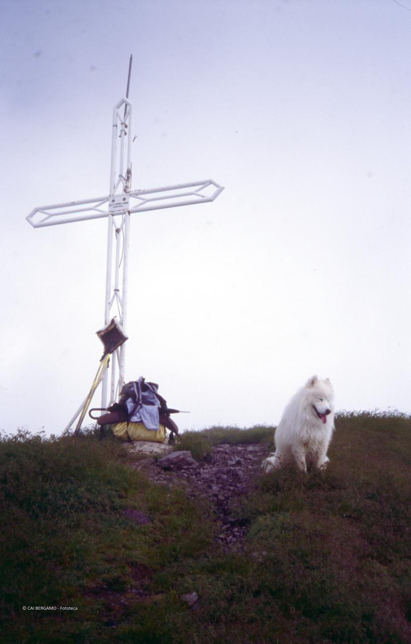 Vetta del Pizzo Tornello, con zaino sotto la croce e cane