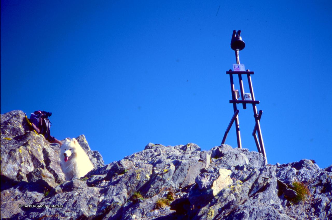 Campanella in vetta al Pizzo 3 Confini, con il solito cane Filo di guardia