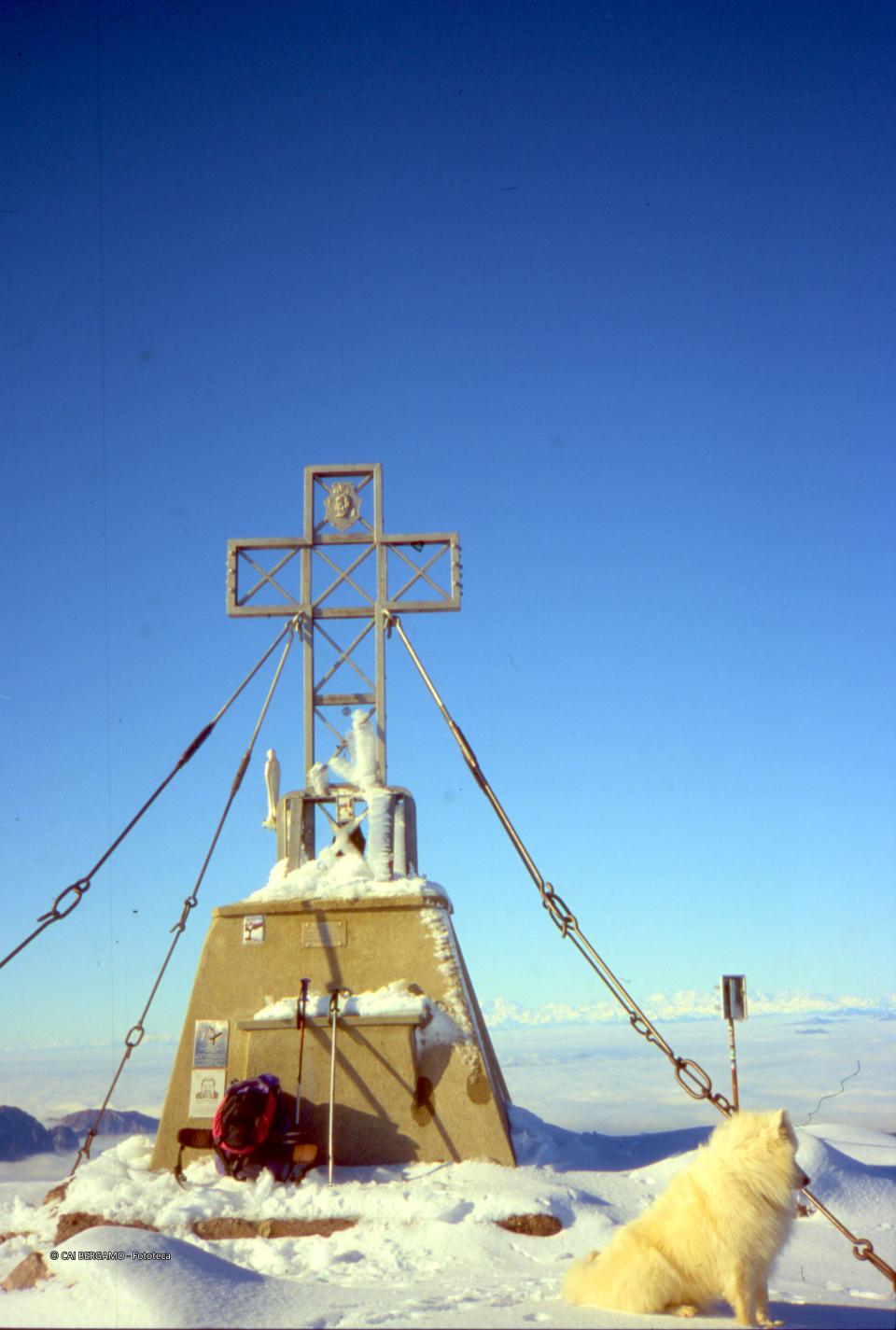 Croce in vetta al Pizzo Tre Signori innevata ed il sempre presente cane Filo