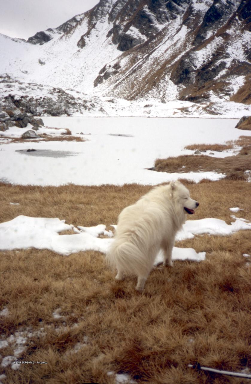 Lago alto di Ponteranica ghiacciato, sottostante bocchetta Triomen (???)