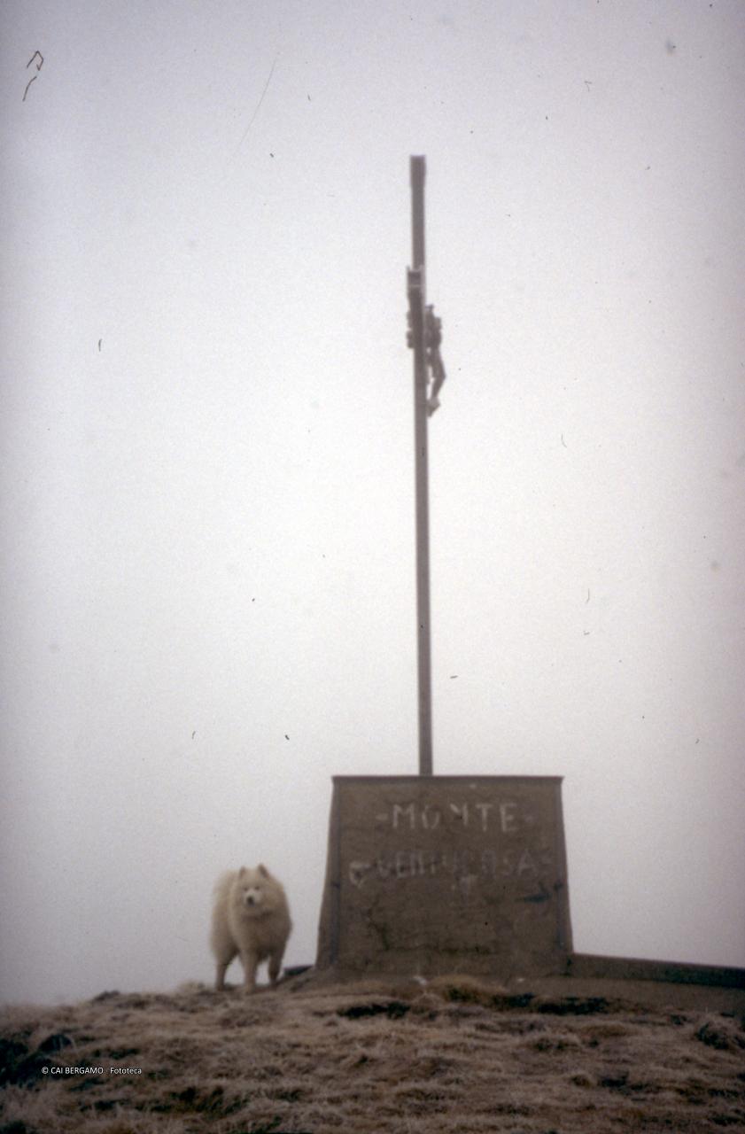 Croce in vetta al Venturosa