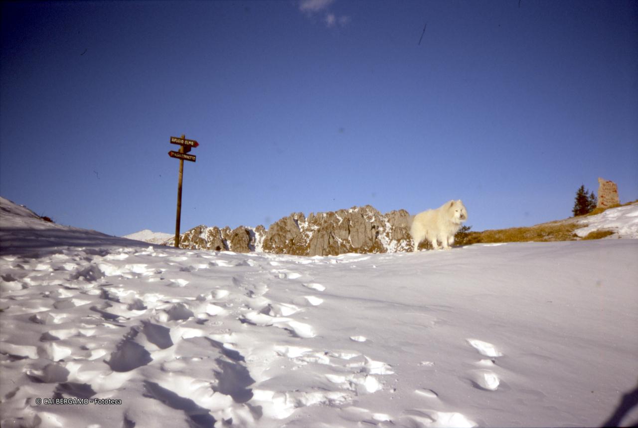 Bivio con segnaletica per il rifugio Olmo e scorcio sulla Cresta di Valzurio