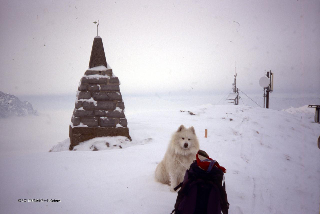 Cippo sullo  Zucco Orscellera in una giornata nevosa