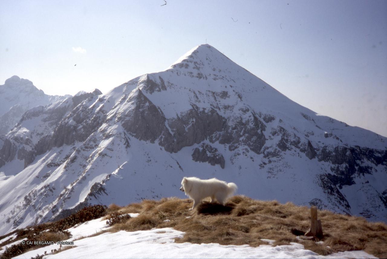 Il Monte Cavallo ancora innevato con il cane Filo sui prati del Sitri