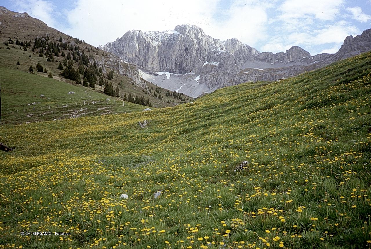 La Presolana dalla valle dei Mulini
