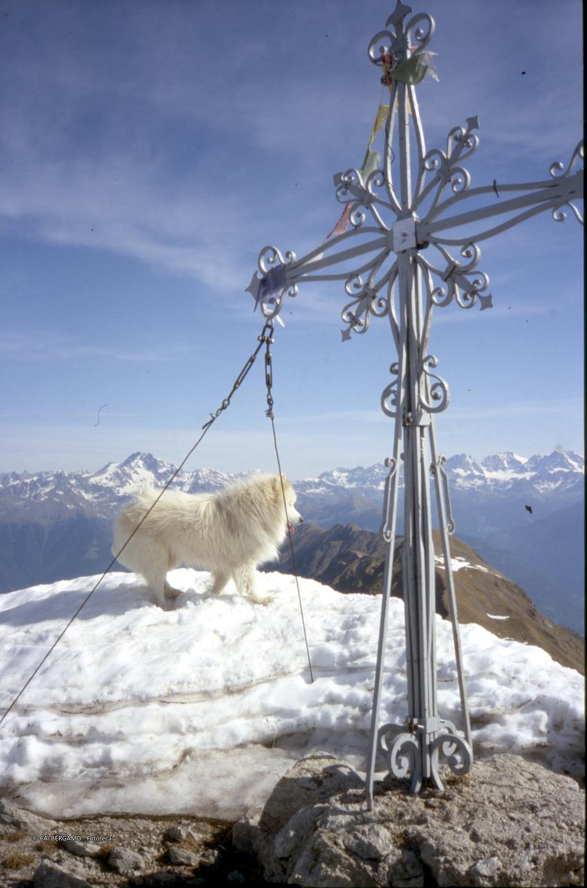 Croce sul Corno ed in lontananza a sinistra il Disgrazia del gruppo del Bernina