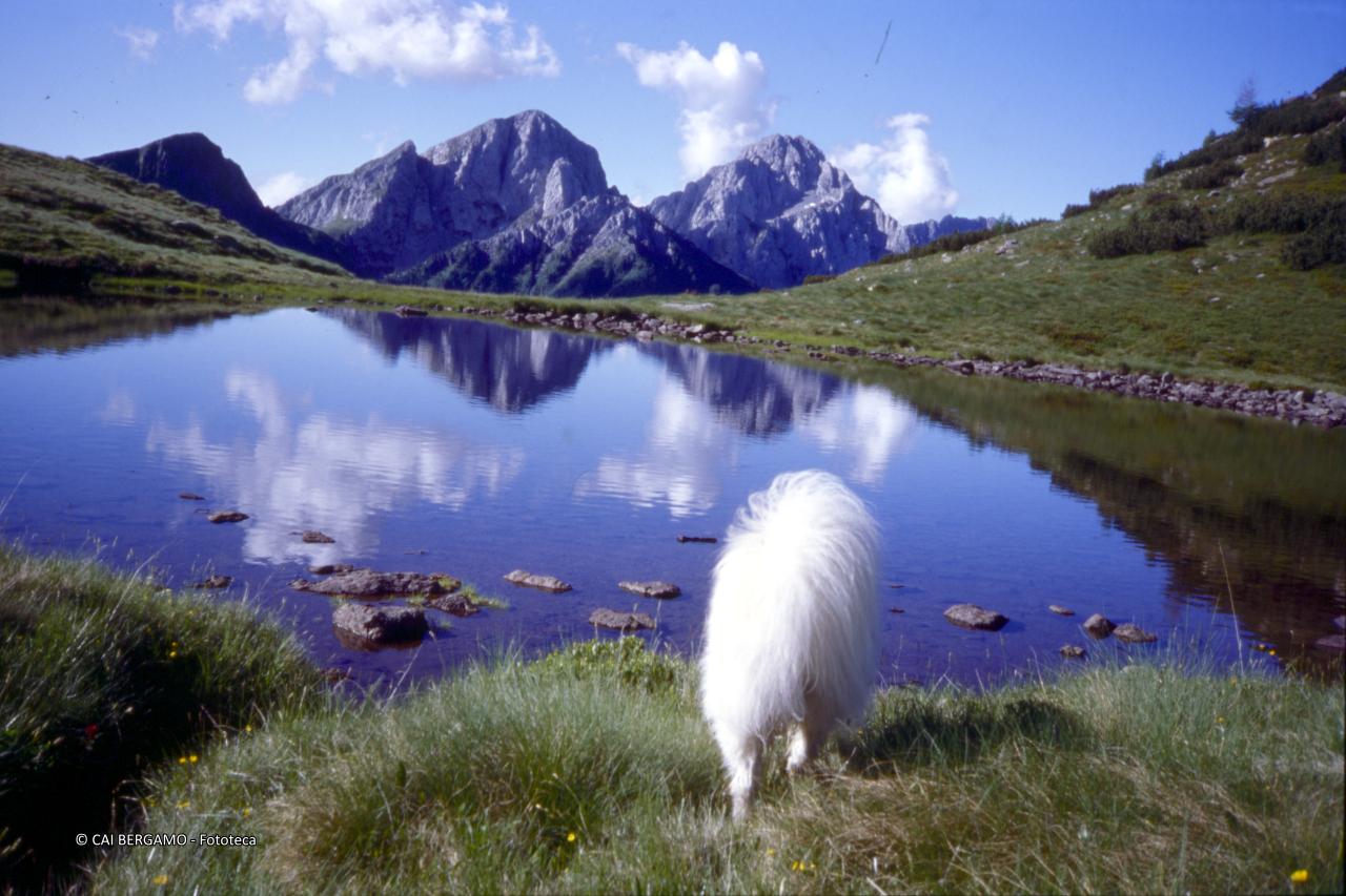 Nuvole in cielo e nel laghetto con vista (da sinistra) Ezendola, Sossino e Pizzo Camino