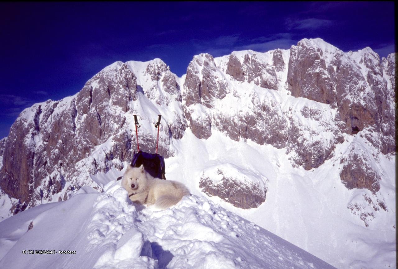 Pizzo Presolana di Castione e Presolana Occidentale dal Pizzo Corzene