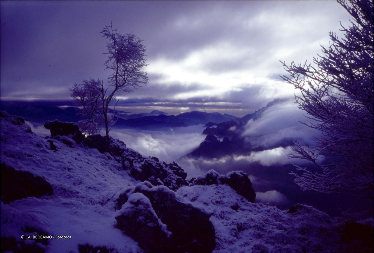 scatto magico: poco sopra Cantiglio vista panoramica nella nebbia, tra alberi e neve