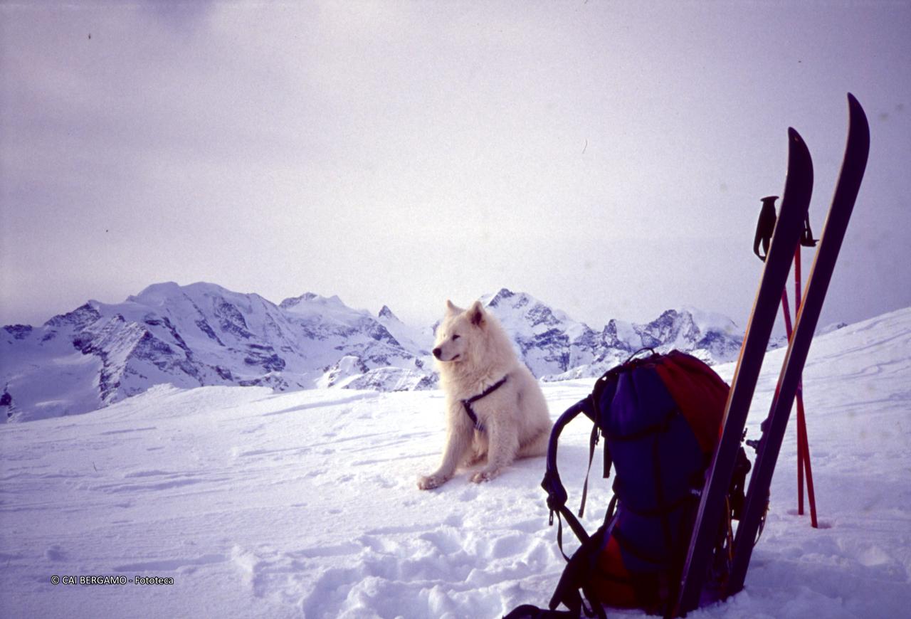 Dalla vetta del Piz Minor vista sul massiccio del Bernina