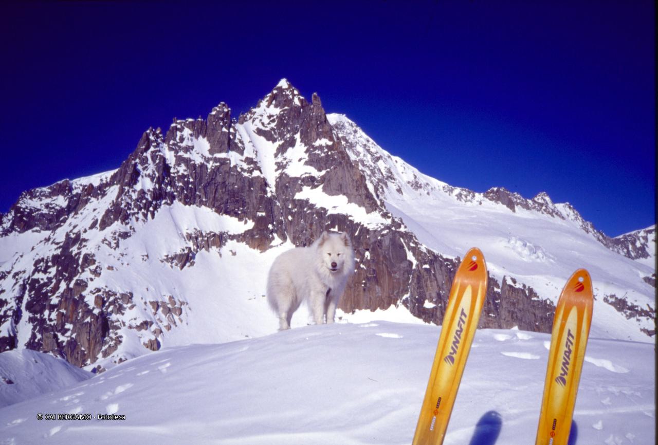 Vista sul lato sud "erboso" con neve del Chli Bielenhorn