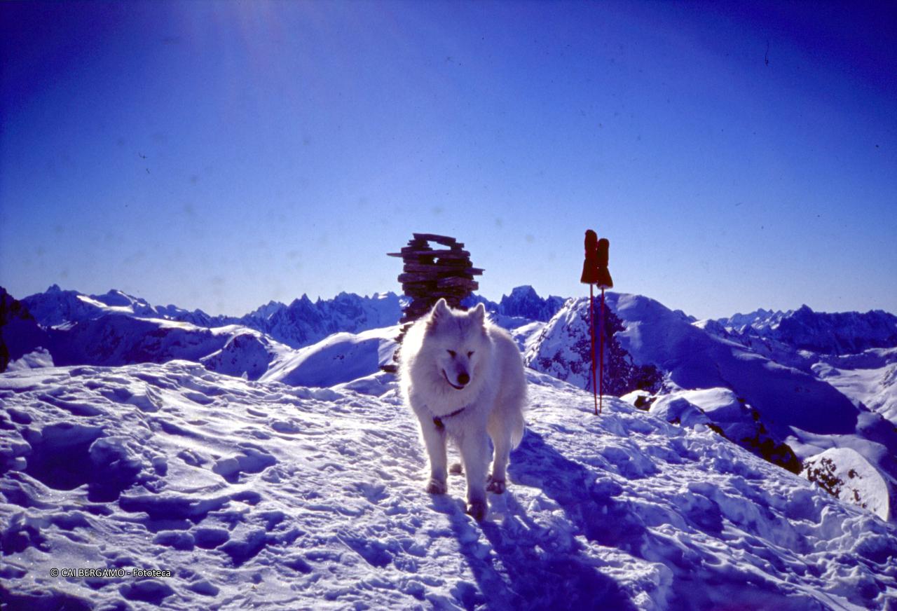 Sulla cima del Wissberg, con cane Nero in parte all'omino e vista sulle cime circostanti