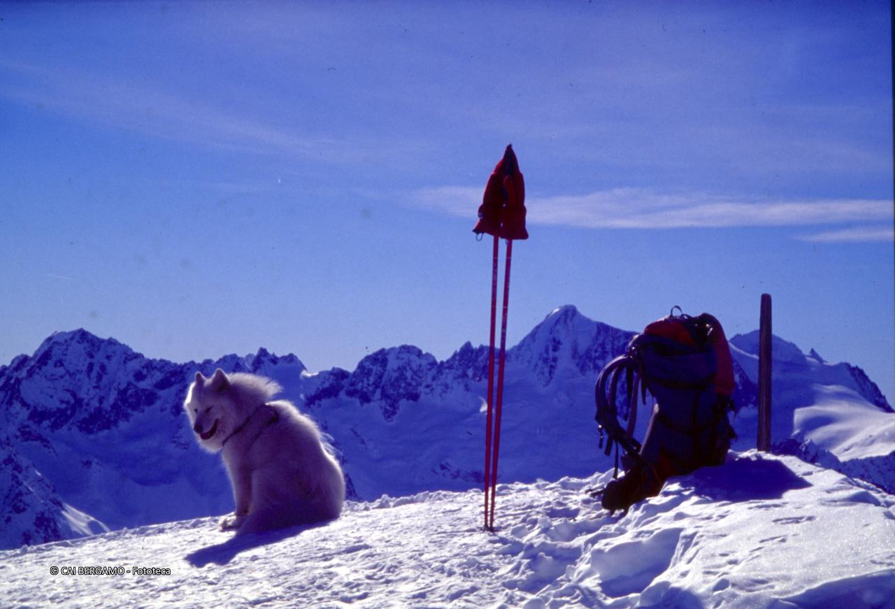 Sulla cima del Wissberg, con cane Nero e vista sulle cime circostanti