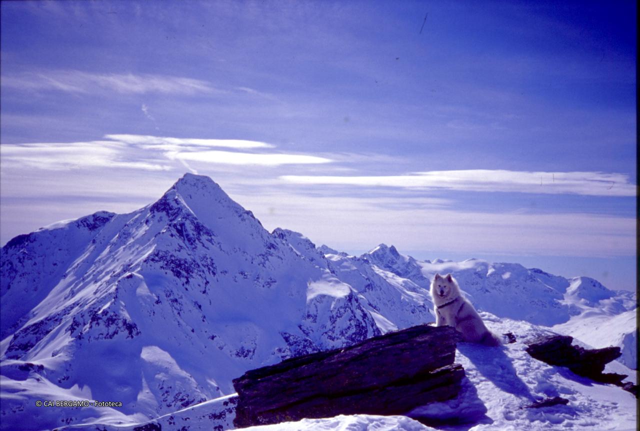 Vista sul Piz Tambo da Nord