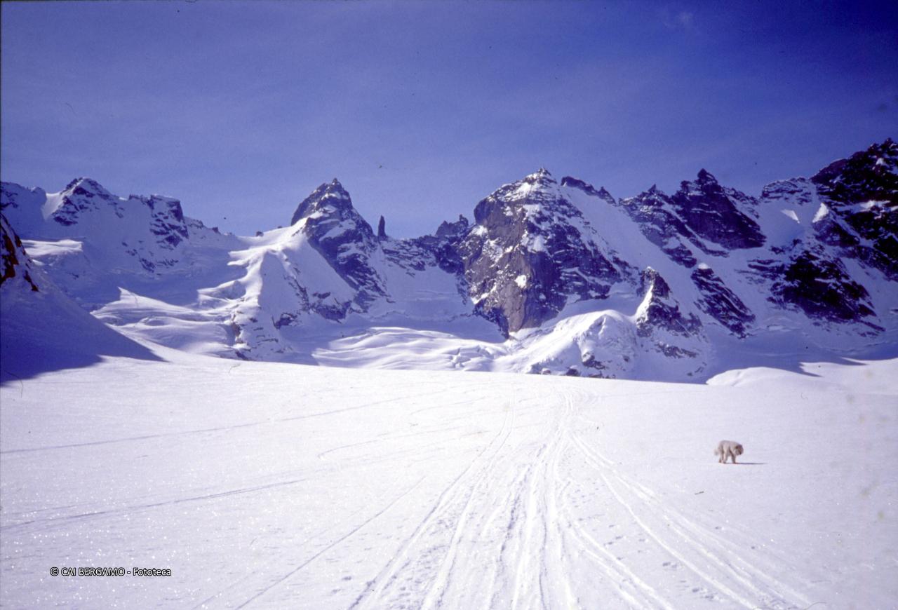 Vista su Pizzo Torrone Orientale, l'Ago di Cleopatra e Pizzo Centrale dalla vedretta del Forno