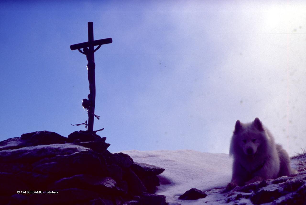 La croce in vetta al Monte Vallocci con cane Nero in primo piano