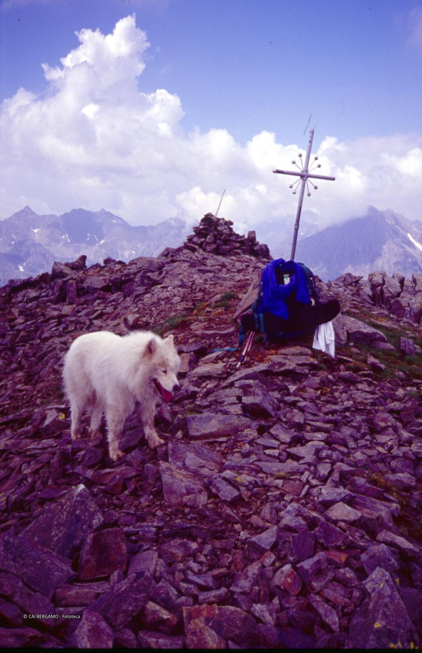 Croce in cima al Monte Nembra