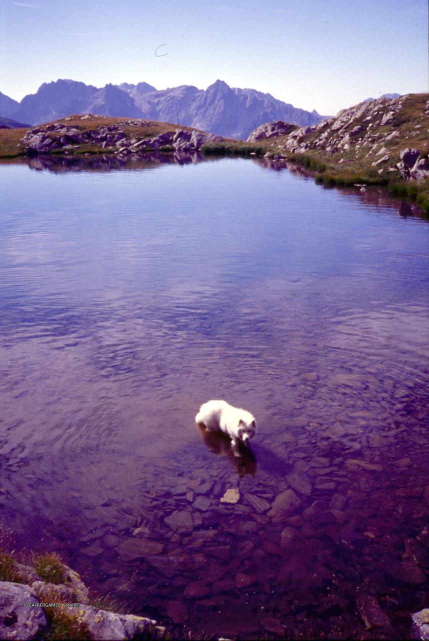Lago alto delle Foppe