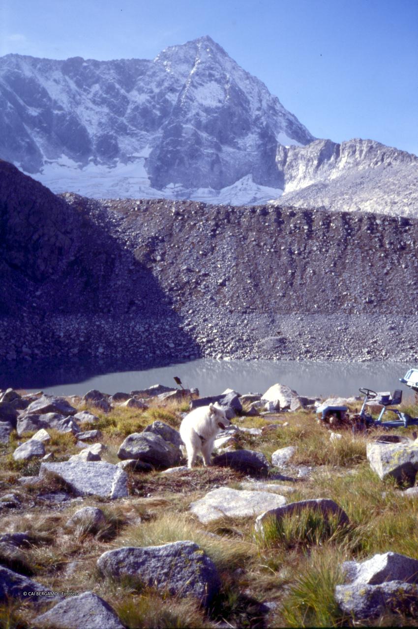 Parete  Nord dell'Adamello imbiancata, vista dal lago Veneroccolo