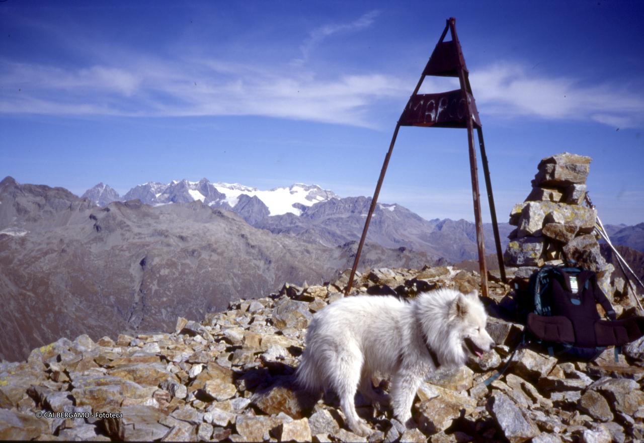 Vetta del Combolo con vista sul gruppo del Bernina dal Piz Roseg al Piz Palù Centrale