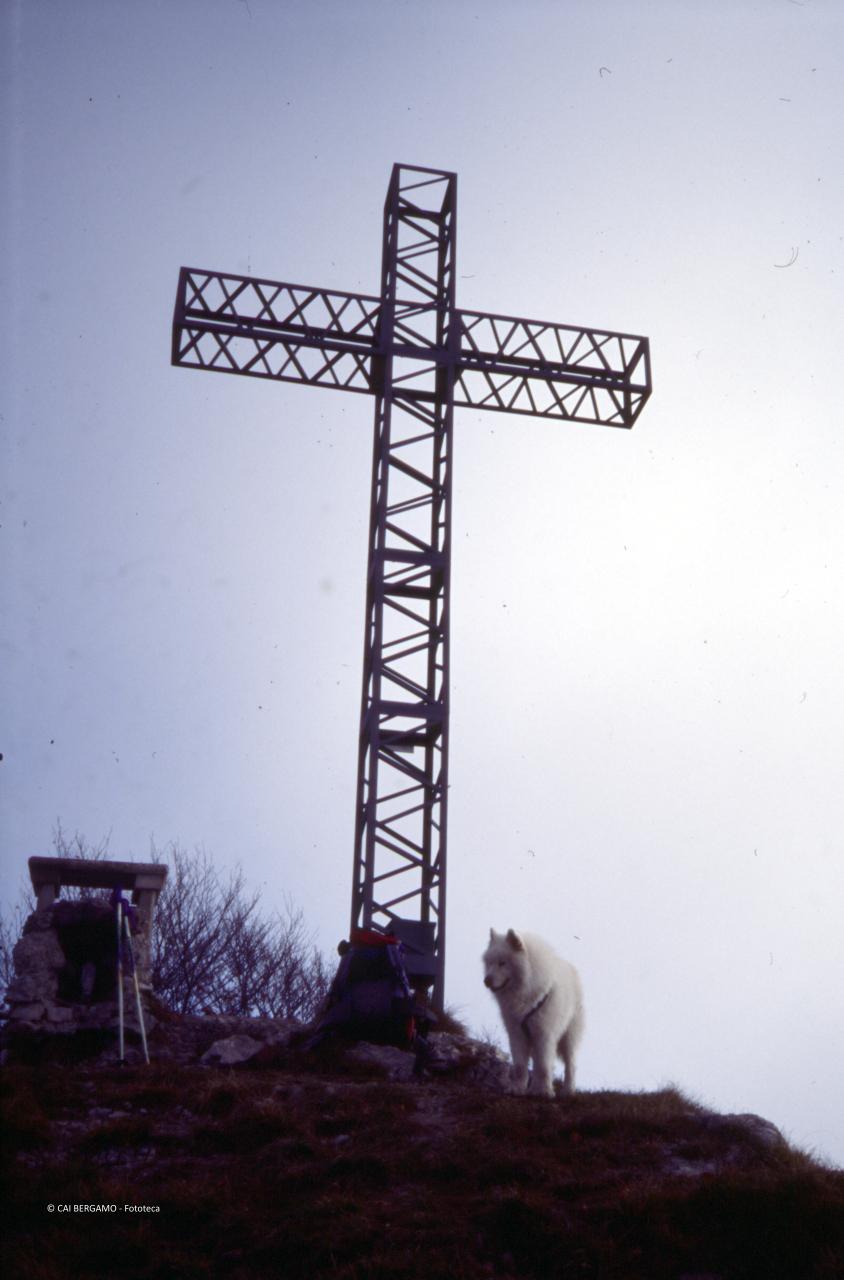 15-11-2003 - Monte Suchello