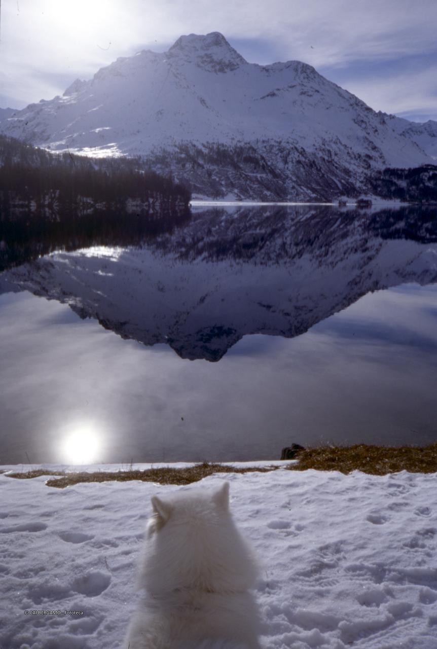 Piz da la Margna, specchiato nel lago di Sils