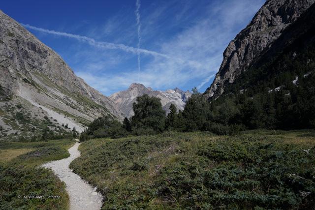 Piana del Carrelet e sullo sfondo la Tete de la Maye (2.512 m)