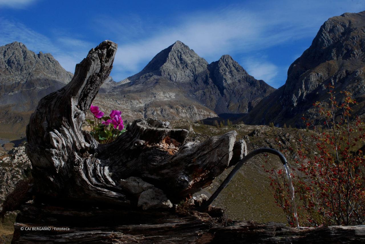 Fontana al rifugio F.lli Calvi - 2° classificato in "Ambienti Montani"
