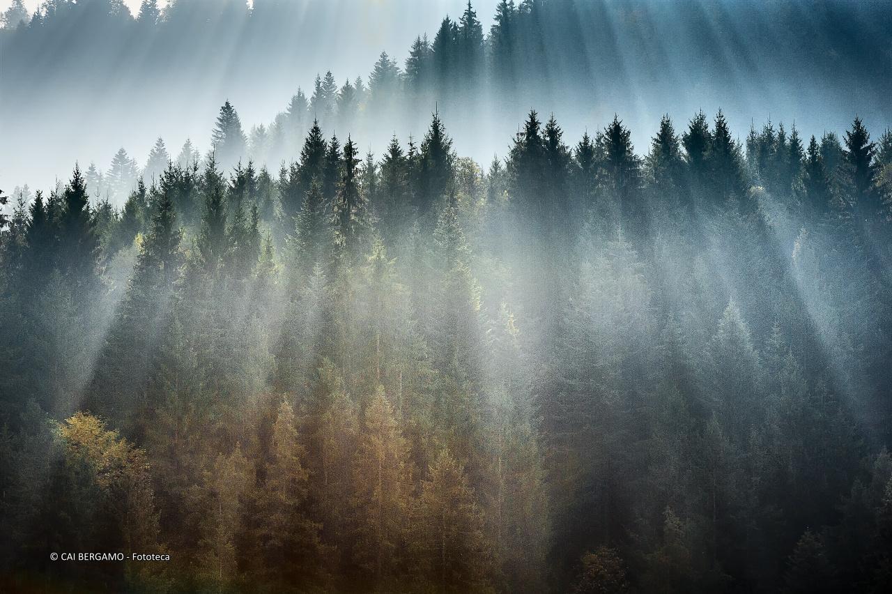 Atmosfera autunnale - 1° classificato in "Ambienti Montani"