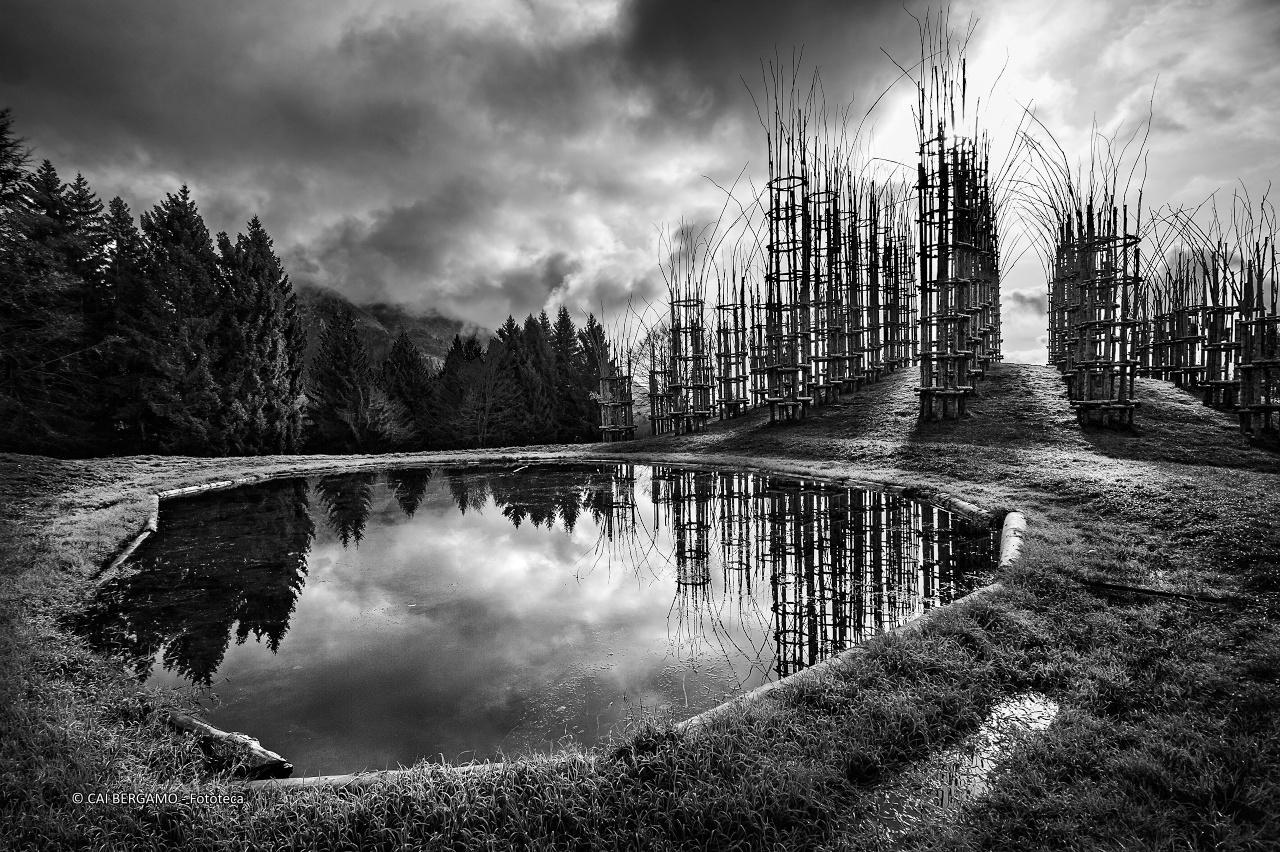 Arte e Natura (ndr: cattedrale vegetale, sotto l'Arera) - segnalato in "Bianco e Nero"