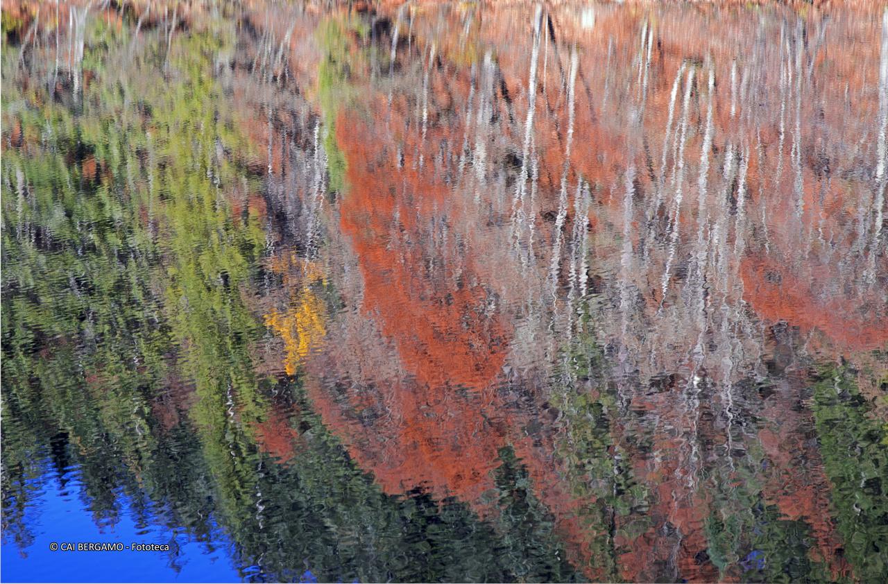 Riflessi d'autunno sul lago di Tovel - Segnalato in "L'acqua in tutte le sue forme e ciò che riflette"