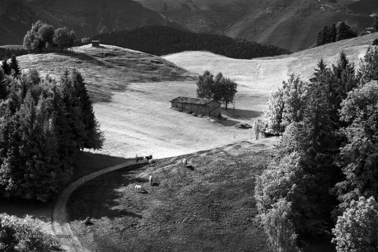 Sul Farno - 1° classificato in "Bianco e Nero"