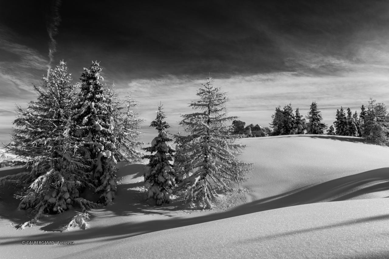 Dolomitici chiaroscuri - Segnalato in "Bianco e Nero"