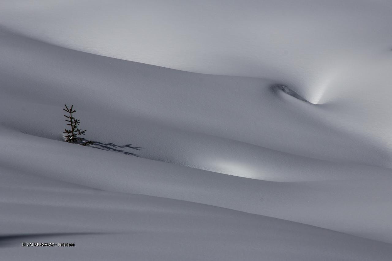 "Soffice" -  Segnalato in  "L'acqua in tutte le sue forme"