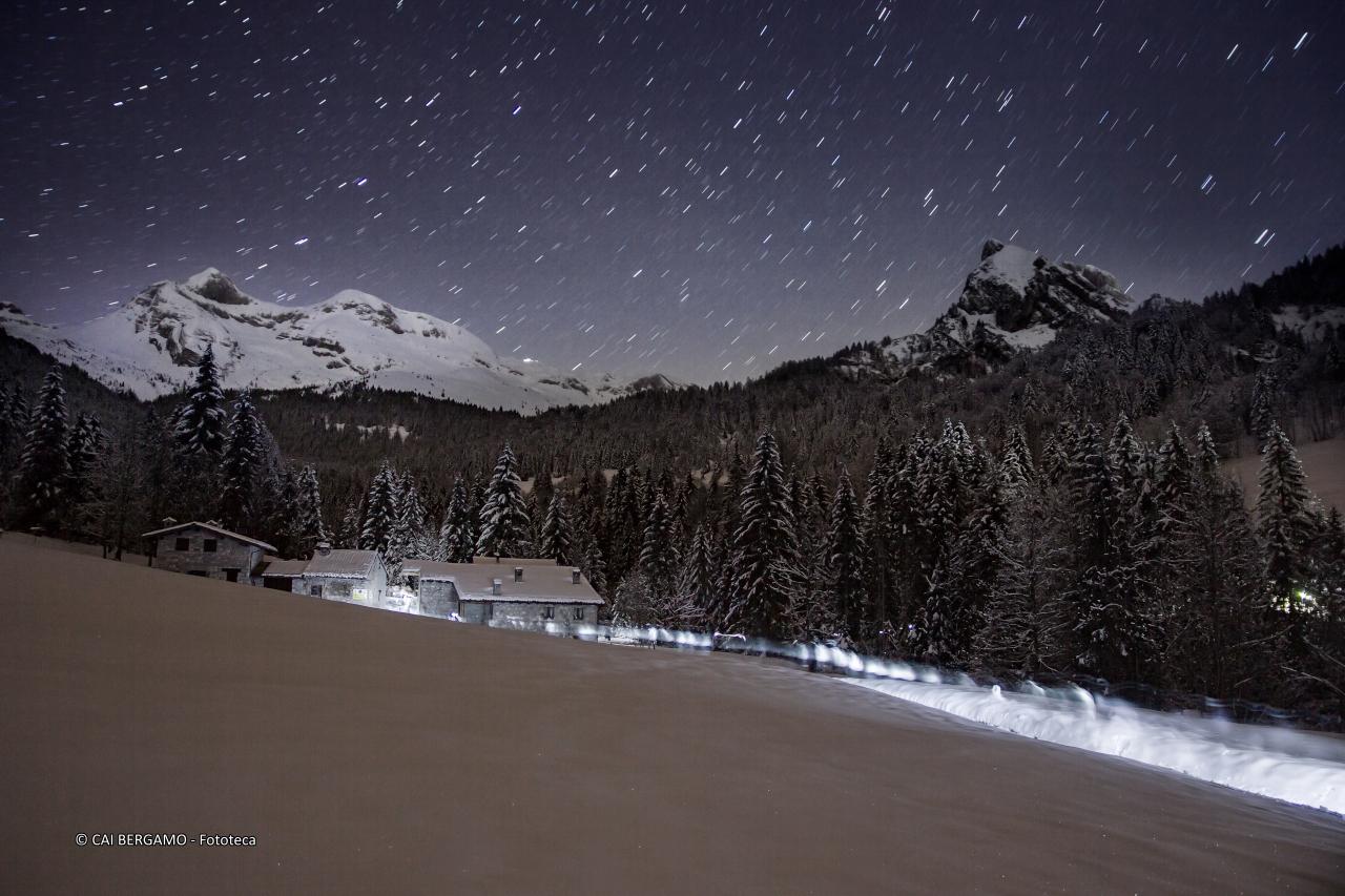 "Moschel notturno" - 1° classificato in "Ambienti Montani"