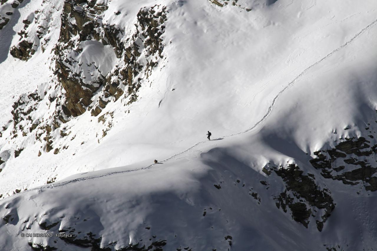 "Orobie" - segnalato in "Ambienti montani"