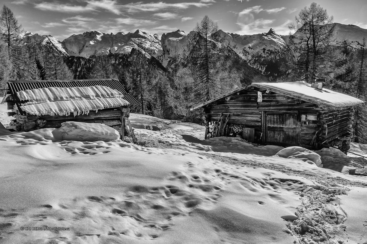 "Inverno" - Vincitore assoluto