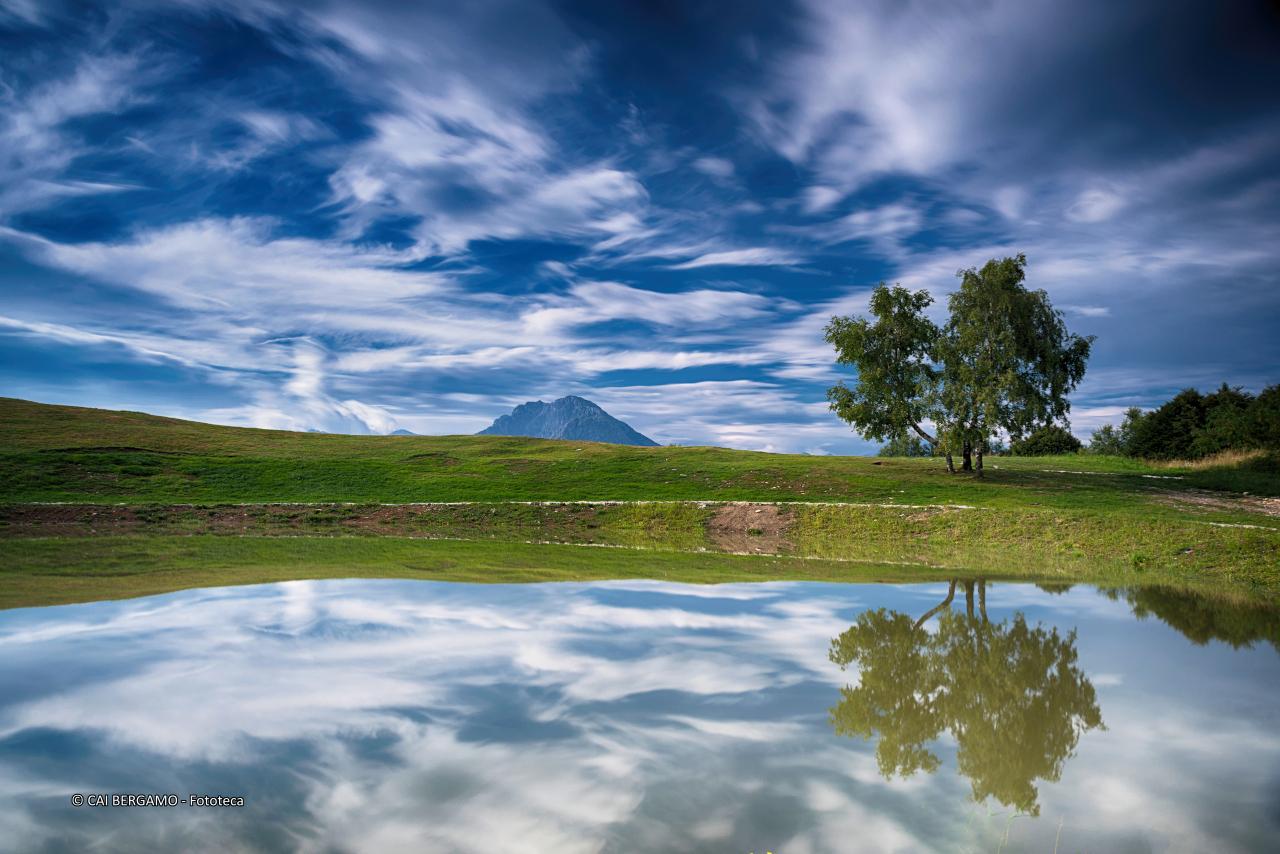 "Specchio" - segnalato in "L'acqua in tutte le sue forme"