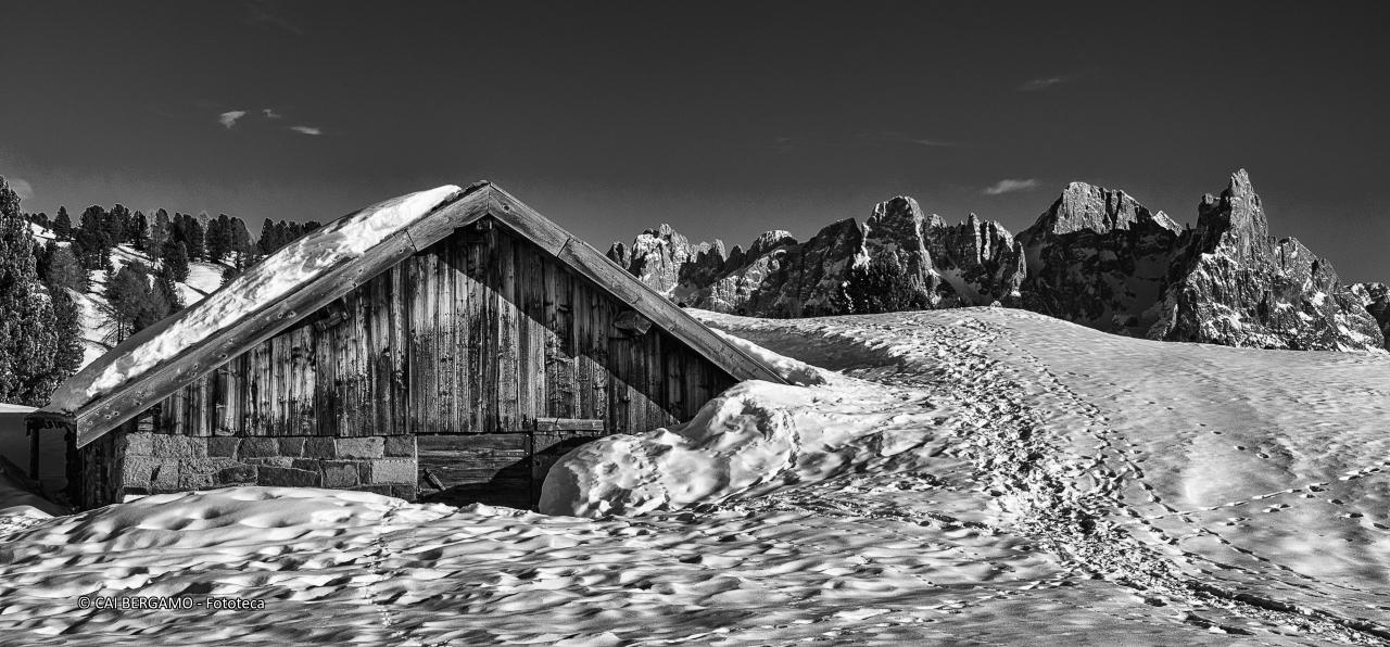 "Pale di San Martino" - segnalato in "Bianco e Nero"
