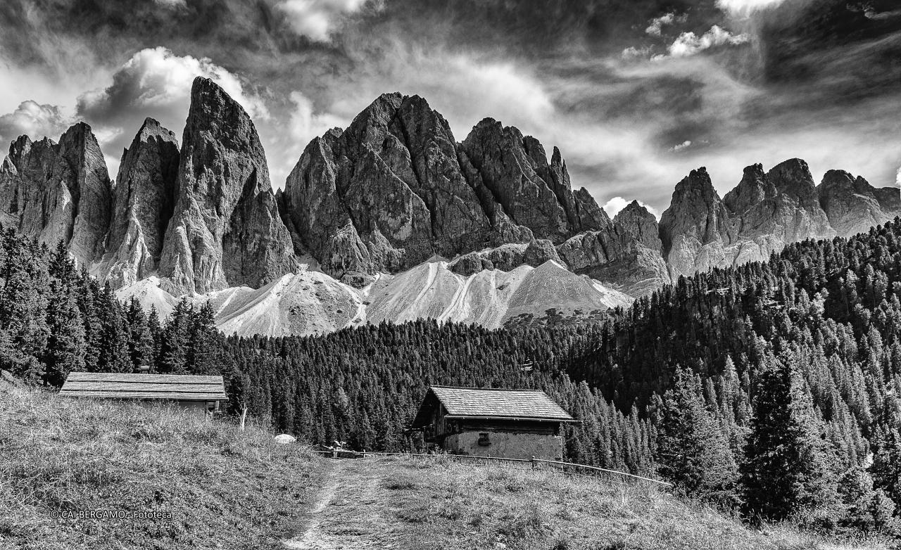 "Odle" - segnalato in "Bianco e Nero"