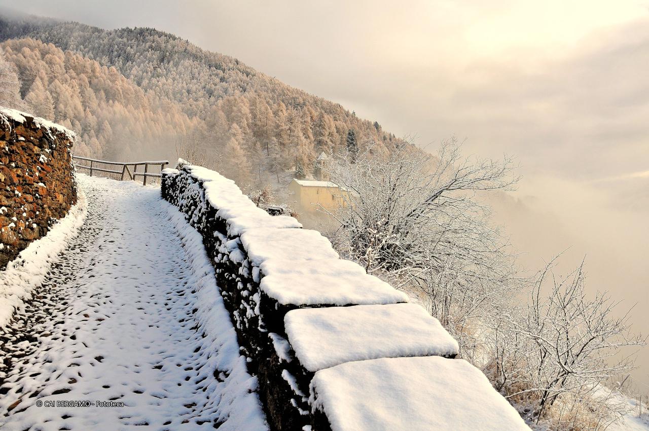 "San Clemente-Vezza d'Oglio" - segnalato in "Ambienti montani"