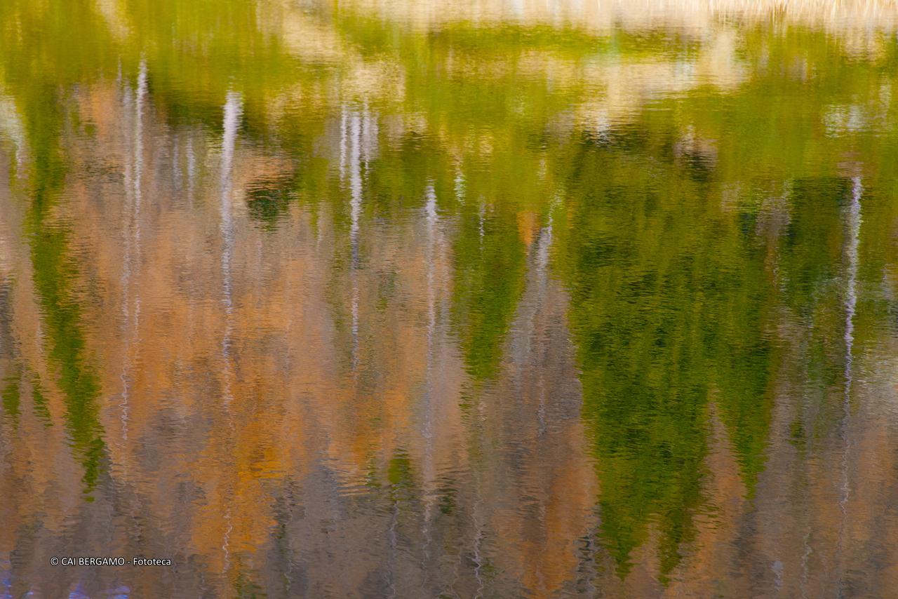 "Colori autunnali" - segnalato in "L'acqua in tutte le sue forme" - Riflessi colorati nel laghetto alpino