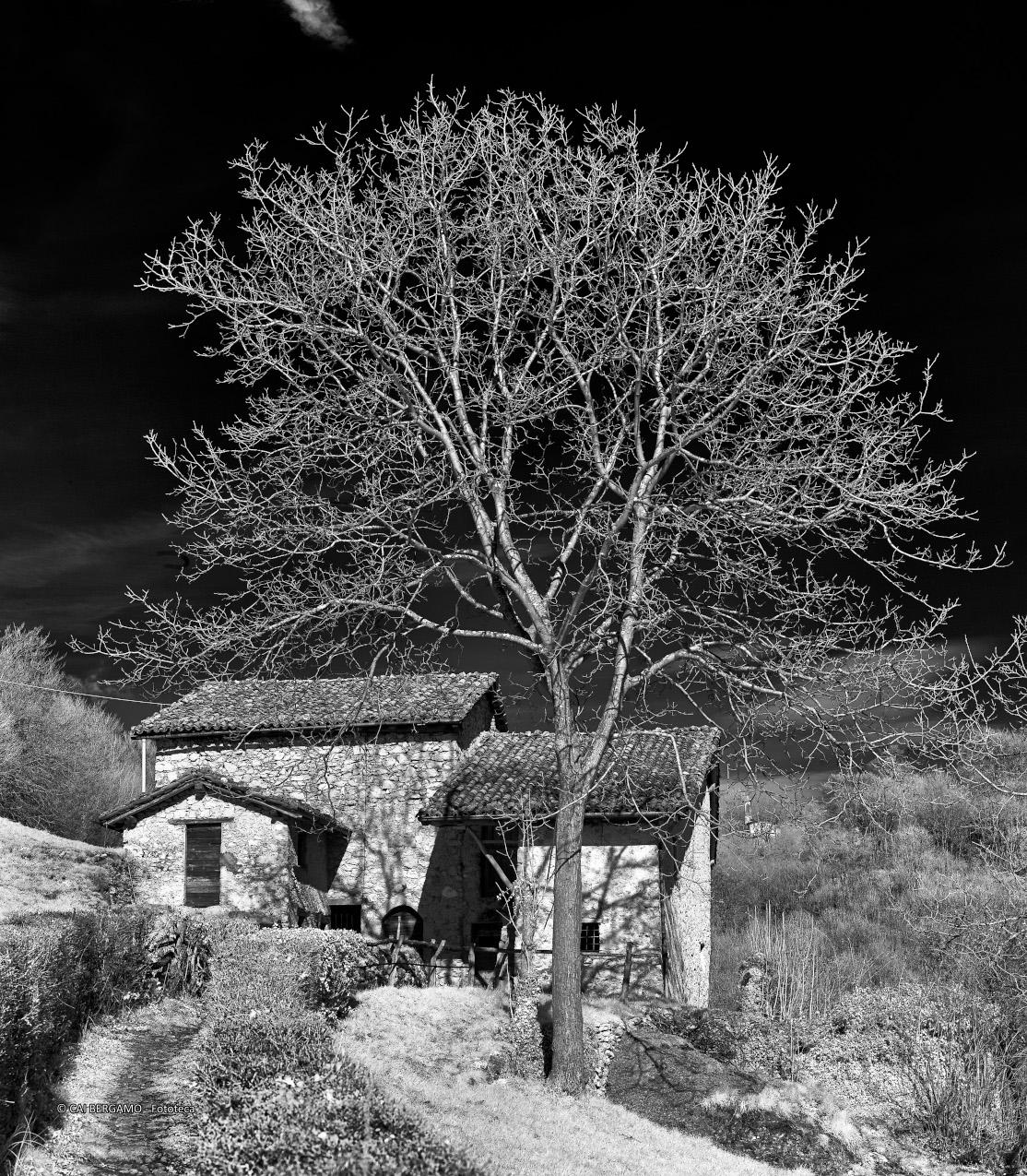 "Salmezza" - segnalato in "Bianco e Nero"