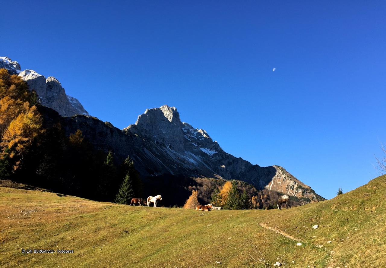"Il silenzio dell'autunno" - segnalato in "Flora e Fauna" - Cavalli al pascolo